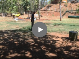 dog training
